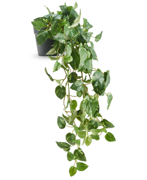 Kunstige Hengende Gullranke i Potte UV 80cm