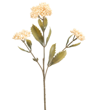 Kunstig Kalanchoe Stilk Kremhvit 47 cm