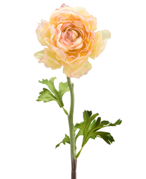 Kunstig Ranunkel Gul/Rosa 51 cm