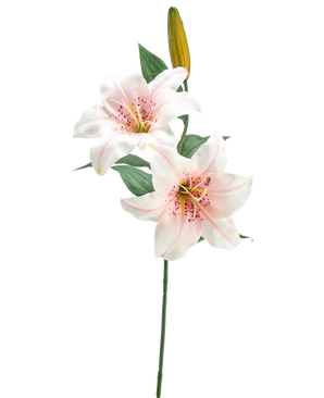 Kunstig Lilje Hvit/rosa 66 cm
