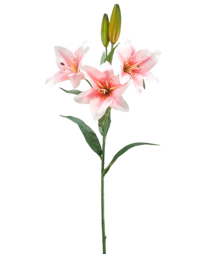 Kunstig Lilje Rosa/krem 78 cm