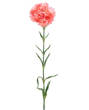 Kunstig Nellik Stilk Rosa 68 cm