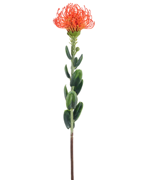 Kunstig Mini Protea Oransje 61 cm