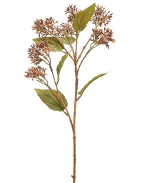 Kunstig Sedum Brun 67 cm