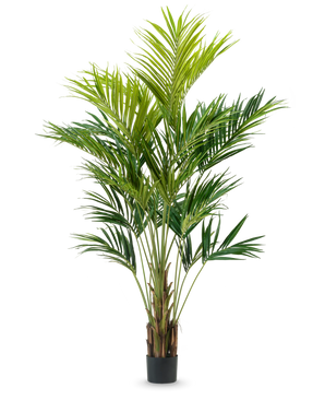 Kunstig Kentia Palme Gigant 270cm