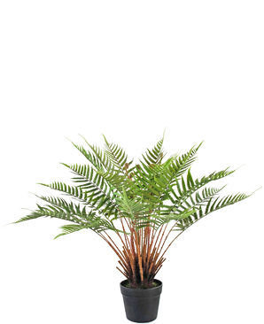 Kunstig Plante Bregne 66 cm