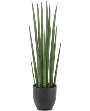 Kunstig Sansevieria Sylinder 70cm