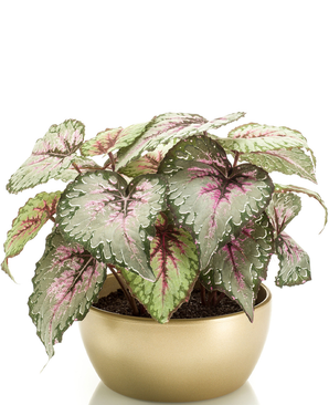 Kunstig Begonia i Gullpotte 25cm