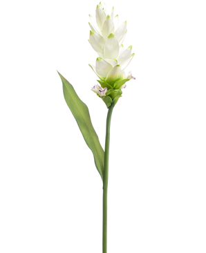 Kunstig Curcuma Stilk Hvit 80cm