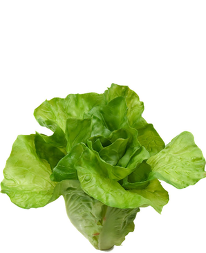 Kunstig Salat 16 cm