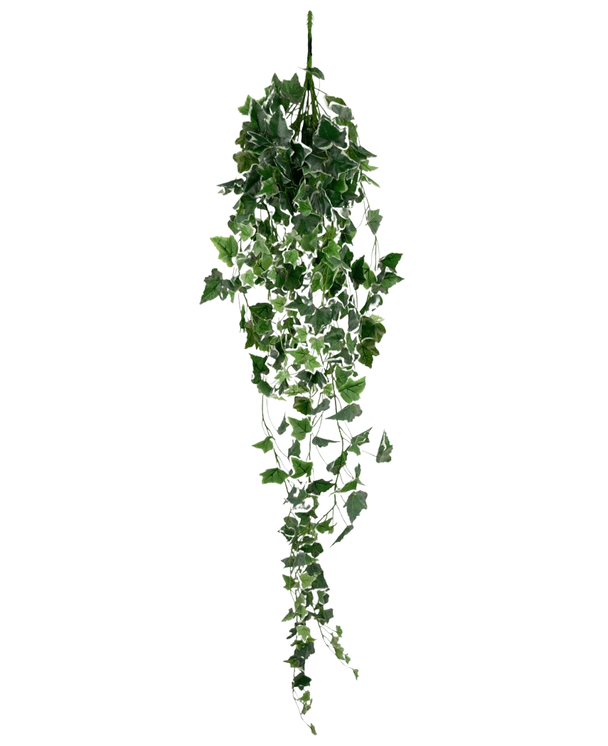 De Kunst Klimop 130 cm groen/wit is een hangende kunstklimopplant met lange, slepende groene bladeren en witte randen, afgebeeld tegen een effen witte achtergrond.